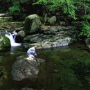 동악산한우 이미지