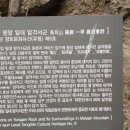 마이산 용암일대 암각서군 이미지