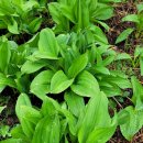 대청농장 이미지