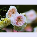 곡성-092 티스토리