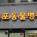 개포동물병원 이미지