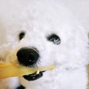 올데이멍 이미지