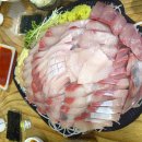 보고상회 | 광자님 인스타보고 찾아간 노량진 방어맛집 줄포상회 솔직후기!