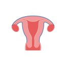 고려의원B(우측) | [임신 도전 #1] 자궁내막증으로 인한 난임 진단...그리고 비잔정(visanne) 처방
