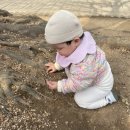 공립 유림숲어린이집 | [13개월 육아일기] 걸음마ㅣ수다쟁이 아기ㅣ발도르프 어린이집 적응기간ㅣ소소한 후기