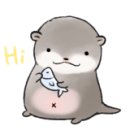 홍지컴퍼니 이미지