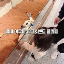 아쿠아 파크 | 남양주 별내동 주차 가능한 실내 동물원 아쿠아파크 샌드 플레이 22개월 아기와 방문 후기 동물...