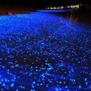 푸른바다(blue&sea) 이미지