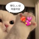 향-고향의 정 | 화성 남양 고향의봄 베이커리카페 리뷰 l 분위기도 맛도 완내쓰 l 봄라떼 l 자두스무디 l 남양대형카페...