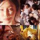 화사 - 수원시 장안구 | 화사