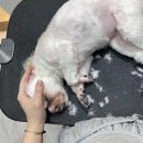 딱이네미용실 이미지