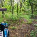 용성좌대 이미지