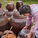 내 몸 살리는 약선차와 건강약선 레시피 | 자연과 시간으로 빚은 K 푸드 된장 이야기책