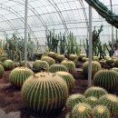 오이랜드 이미지