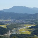 감나무골농장 이미지