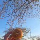 경주디저트 &#34;월지빵&#34; 소금빵 맛집 방문후기