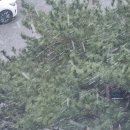 나곡셀프세차장 이미지