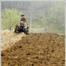 외갓집농장 이미지