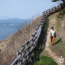수성당 Daum카페