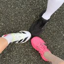 한빛애드 | 빵빵런 2025 in 대전 후기 / 5km 마라톤 / 런린이 마라톤 / 성심당 튀김소보루 주는 마라톤대회