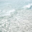 (주)코리안심플 이미지