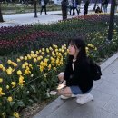 스테이묘정 | 2024년을 모아 모아