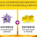 보라온누리약국 이미지