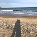 해돋이노래연습장 | [정동진 여행] 일출 명소 탑스텐 호텔 후기 | 치킨, 조식, 스카이라운지, 사우나, 부대시설