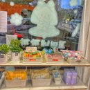 꼬미네까까 이미지