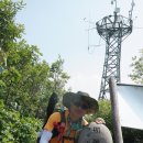 싸리목장 이미지