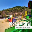 41190-01-07-229 | 구미 숲놀이터 추천 천생산성 유아숲체험원 주차부터 놀거리까지 정리