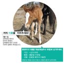 몽생이 이미지