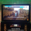 꿀벌노래연습장 이미지