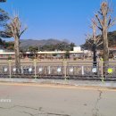 금광초등학교조령분교 이미지