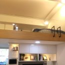 퓨리나동물병원 이미지