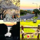 중문보건지소 | 중문관광단지 볼거리 꽃구경 산책길 제주 봄여행 코스