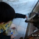 하울링 이미지