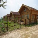 새둥지마을 이미지