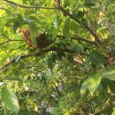 무심농장 이미지