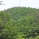남구-81 이미지