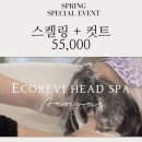 에코레비헤어앤스파 광주하남점