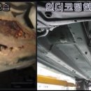 마이네키정발산점 이미지