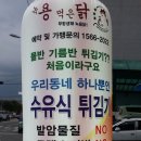 용닭