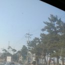 강릉하나약국 이미지