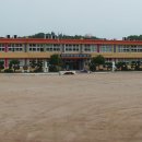 남선초교 이미지