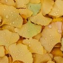 관교중학교 이미지