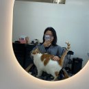 아차산역-7 | 직장인 야간예약 가능한 아차산역미용실 해요! 퇴근 후 모발 클리닉 후기💖