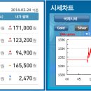 골드쉘화정