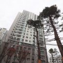 국제공인중개사무소 이미지