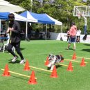 맡겨주개 이미지